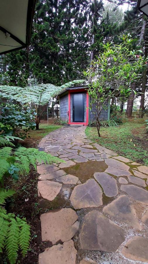 Vila Kolmas 59 Villa Bongkor ภายนอก รูปภาพ
