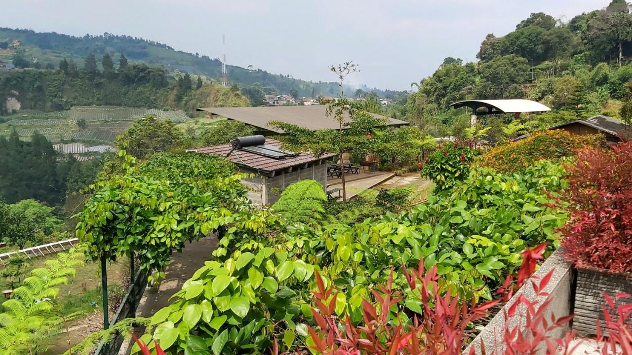 Vila Kolmas 59 Villa Bongkor ภายนอก รูปภาพ